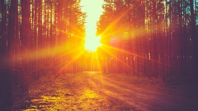Aaj Ka Panchang, October 10, 2026: Tithi, Muhurat and Rahu Kaal. (Image: Shutterstock)