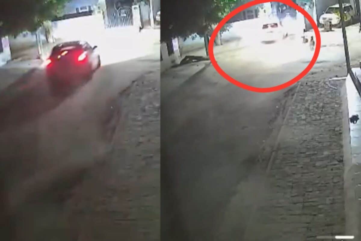 On CCTV: Speeding Car Crashes Through Bikaner House Gate, Family Escapes Unhurt