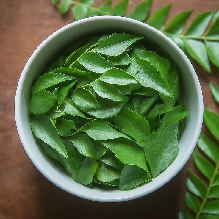 A healthy metabolism is important for effective blood sugar management. Curry leaves provide antioxidants and other plant compounds that may support metabolic health. However, they should be considered a dietary addition rather than a diabetes treatment.