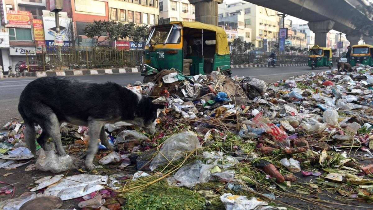 டெல்லியில் துப்புரவு பணியாளர் கொலை; குப்பை குவிகிறது