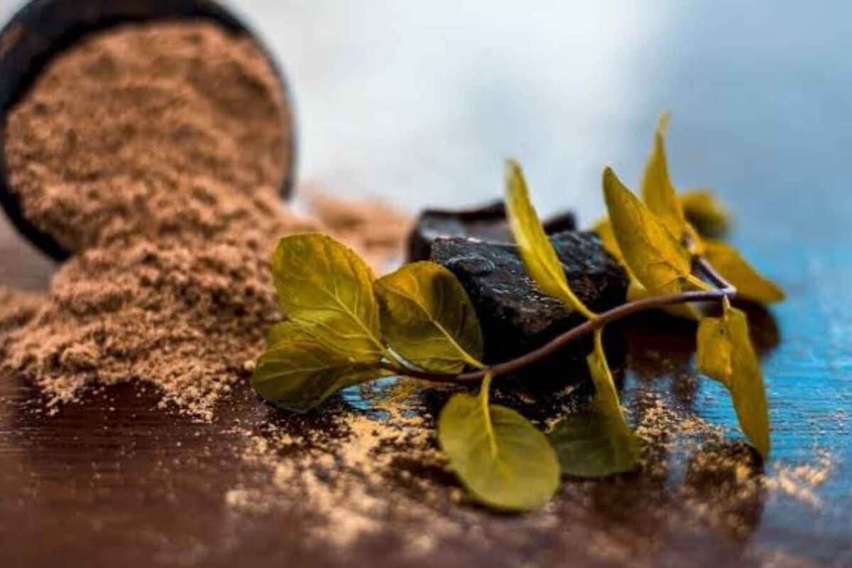 Can You Guess Which Indian Spice Is Among The World's 'Stinkiest Foods'?