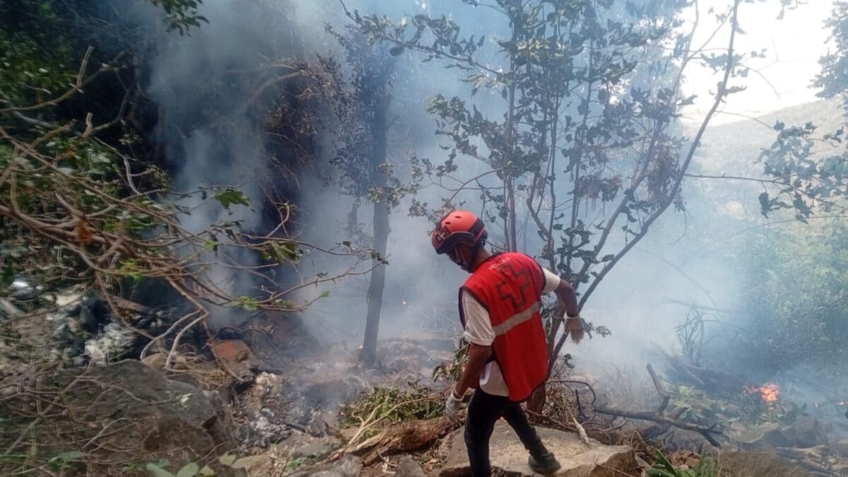Ecuador Intel Chief, Five Americans Among Seven Killed In Kenya Safari Helicopter Crash