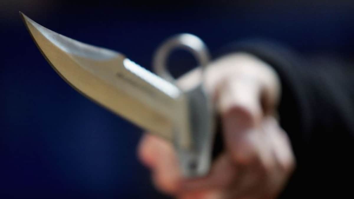 Haryana Horror: Woman Murders Husband, Takes Out Intestines, Jumps From Rooftop After Getting Caught