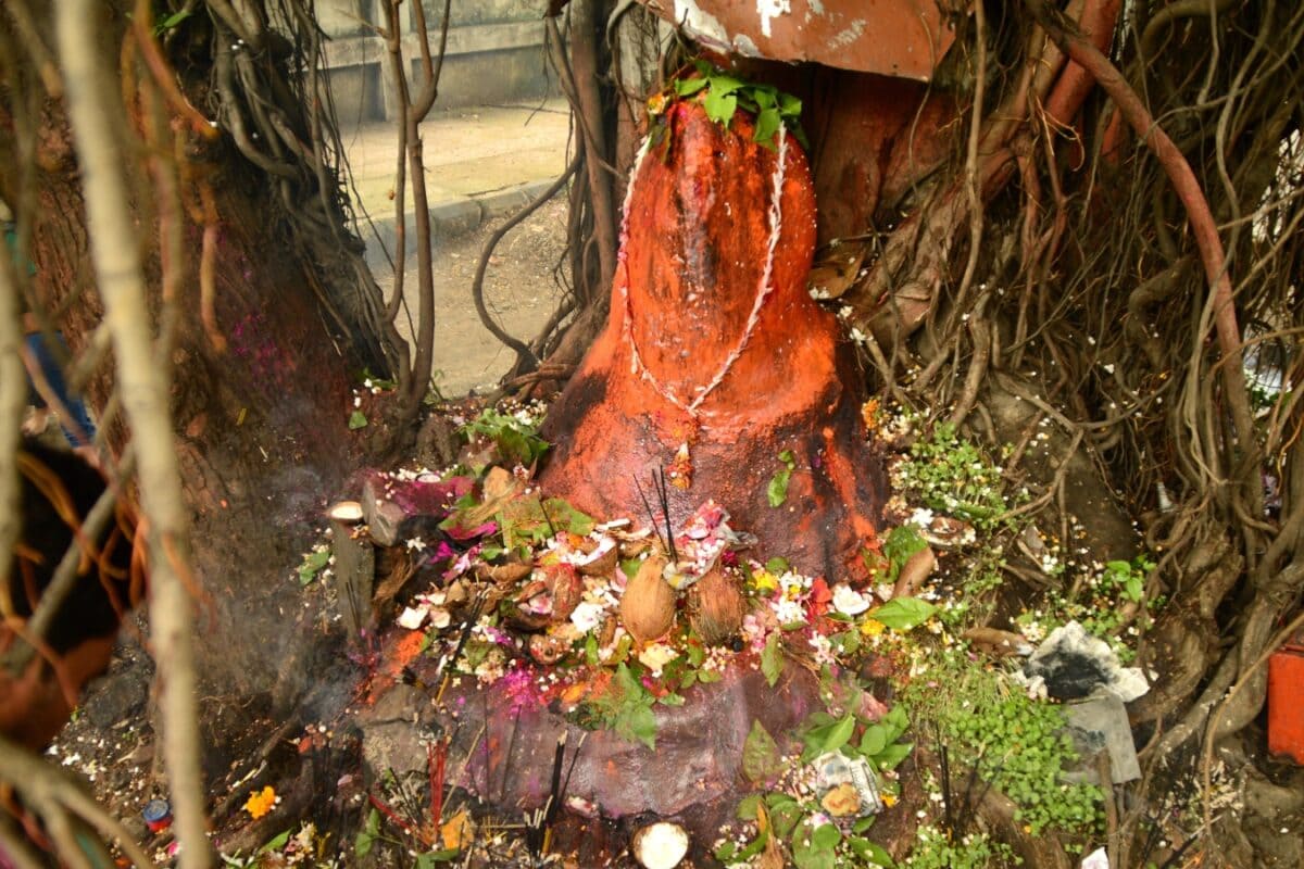 Nag Panchami 2026: Why Schools, Colleges And Some Offices Remain Closed In Nagpur On August 17? Know The Unique Tradition