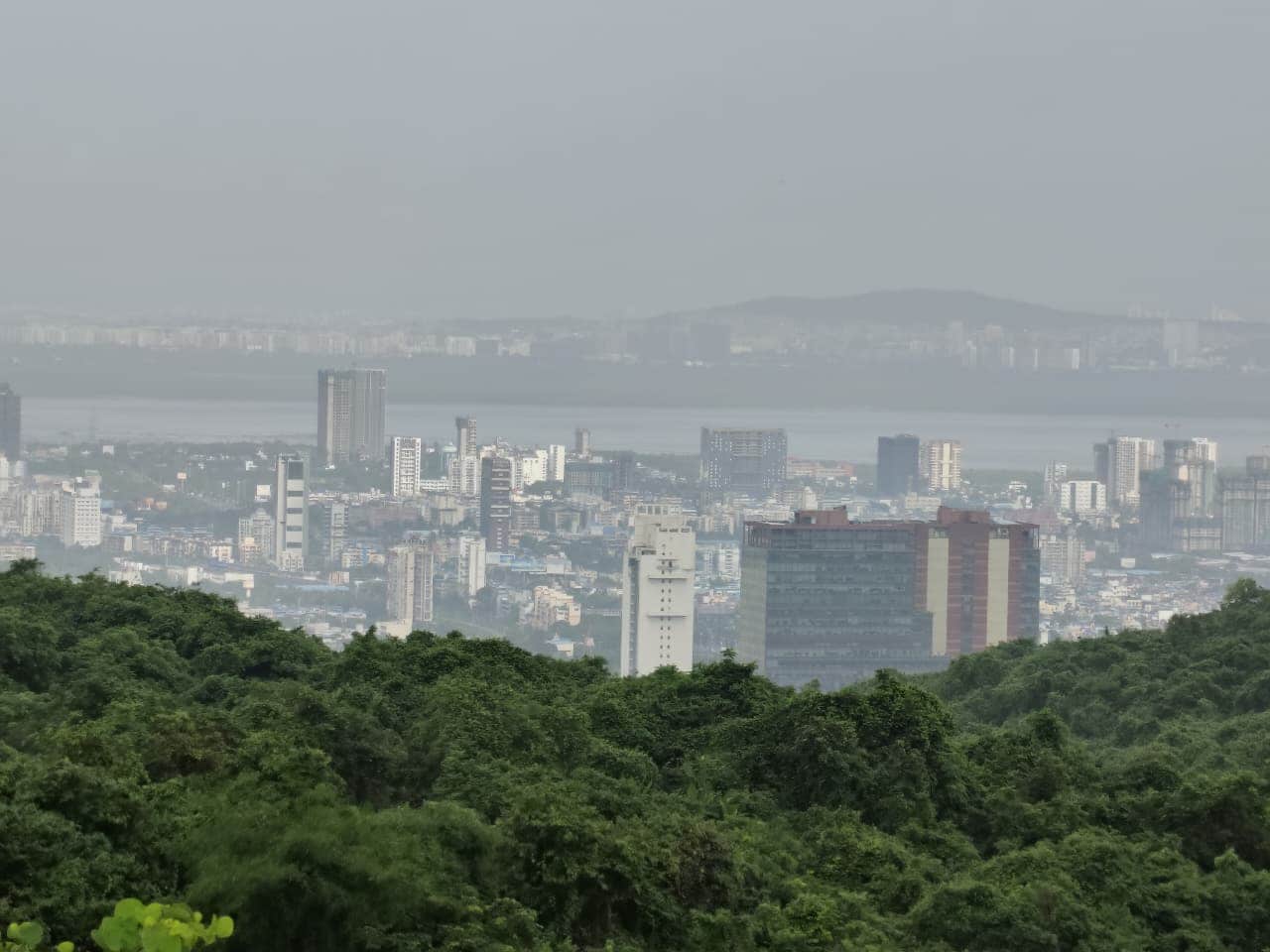 From the higher trails, the familiar landscape of Navi Mumbai takes on an entirely different perspective.