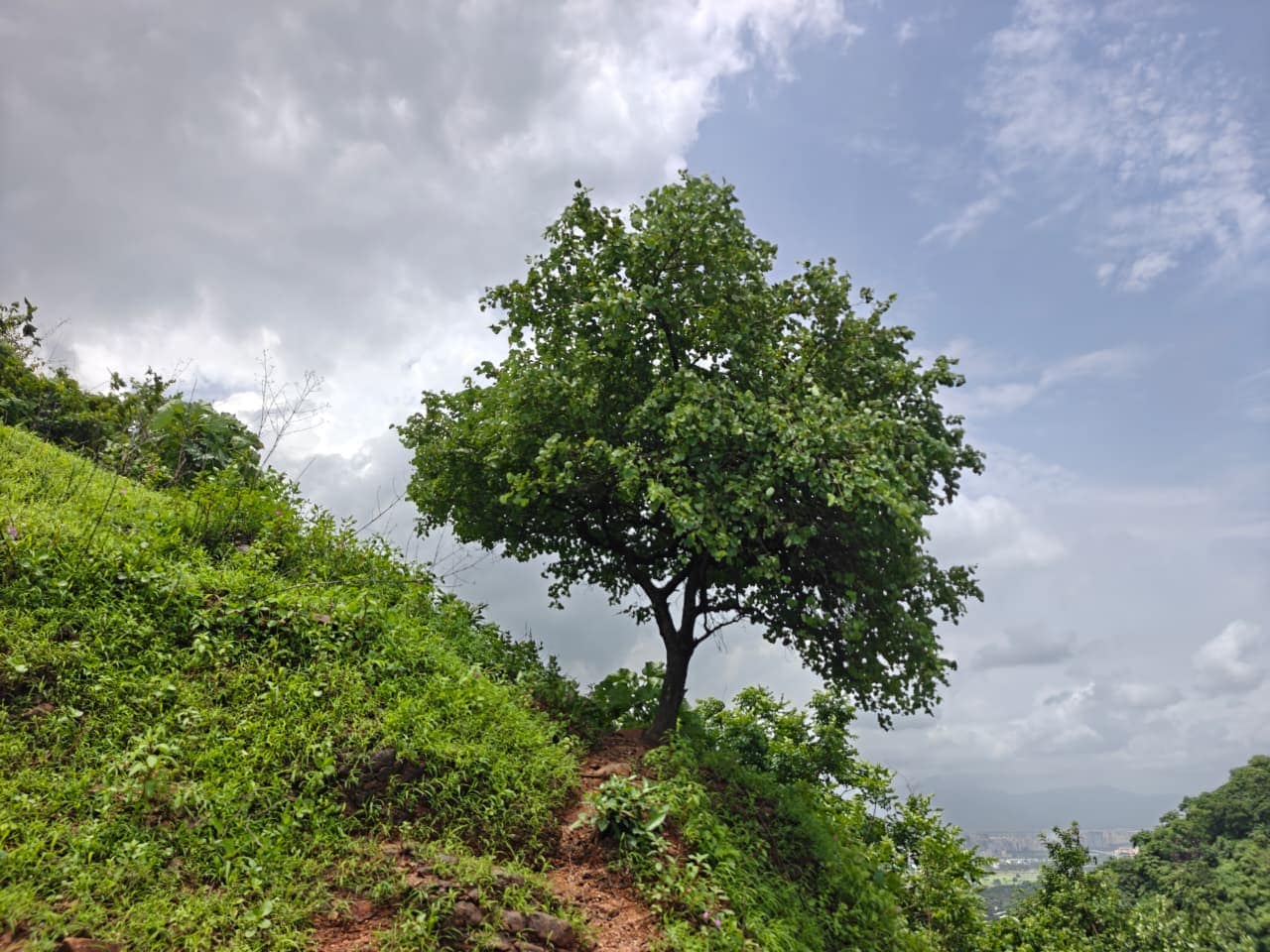 Fed by the monsoon, the waterfall becomes a spectacular sight against the forested hills.