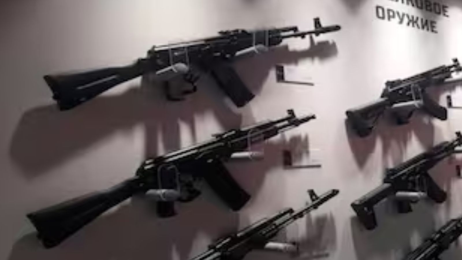Indian Army to get 100% indigenous AK-203 'Sher' in April 2027; 10 prototypes to start trials in a month as IRRPL completes full indigenisation