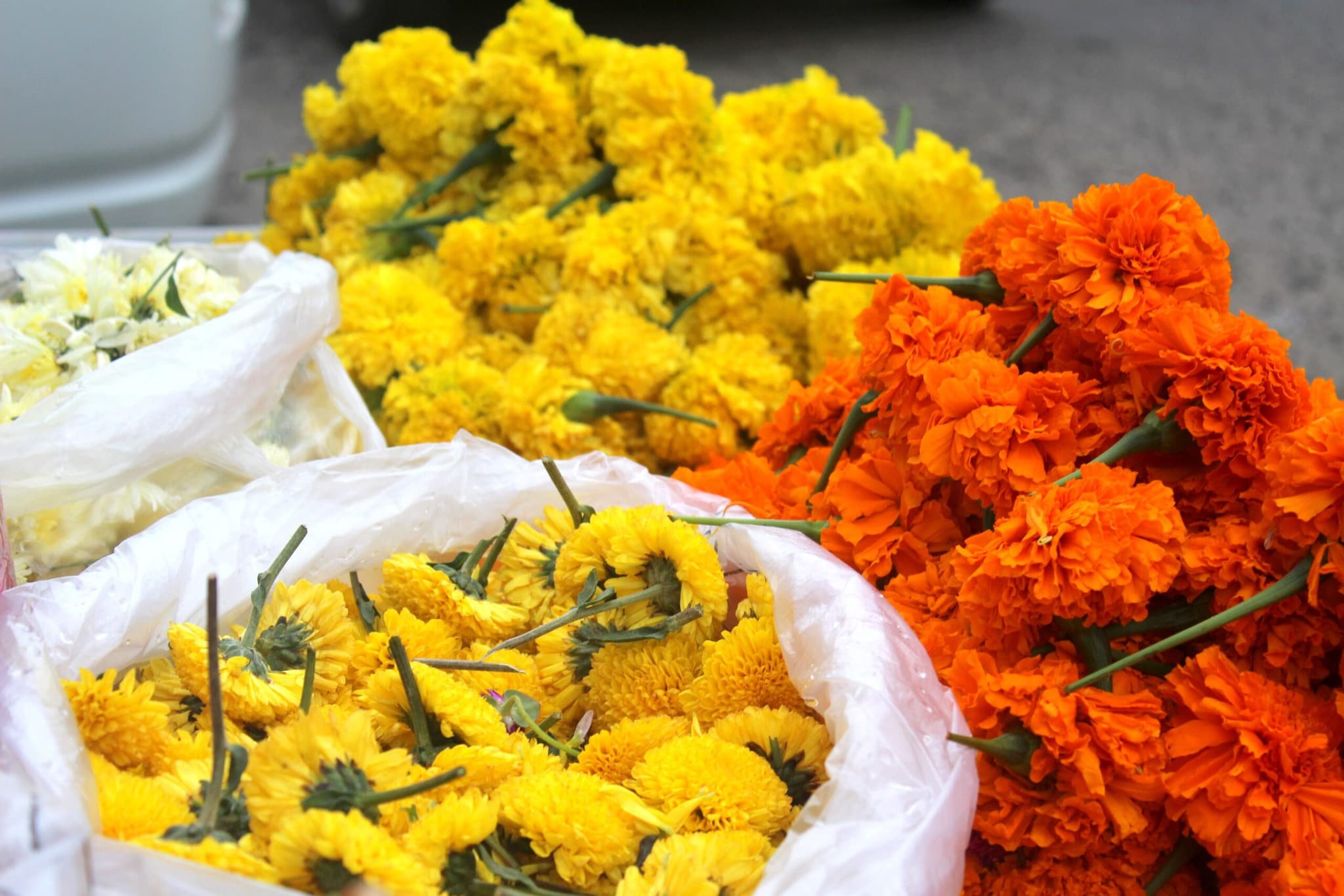 Onam 2026: From Marigold To Jasmine, 10 Flowers Used In Traditional Pookalam Onam 2026: From Marigold To Jasmine, 10 Flowers Used In Traditional Pookalam
