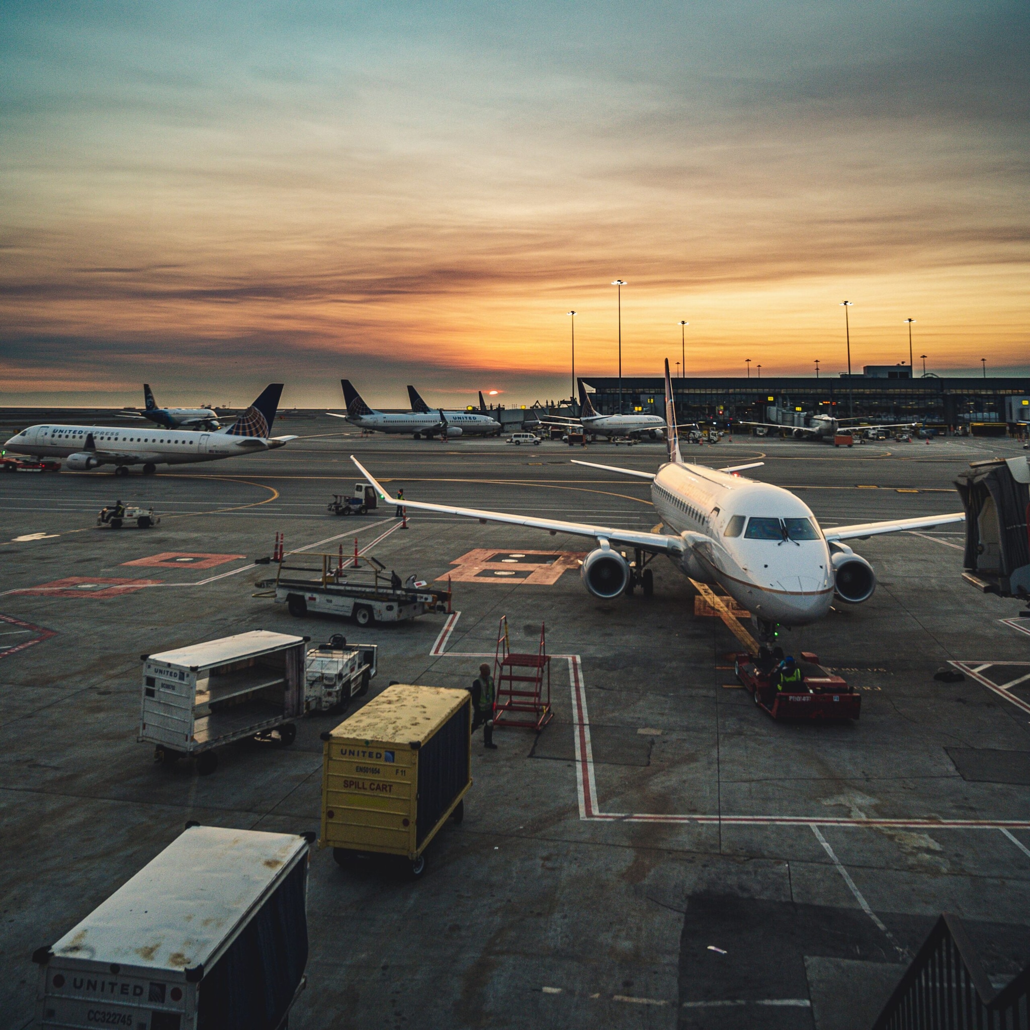A terminal may be dedicated to domestic flights, international flights, low-cost airlines or even specific types of operations, depending on the airport.