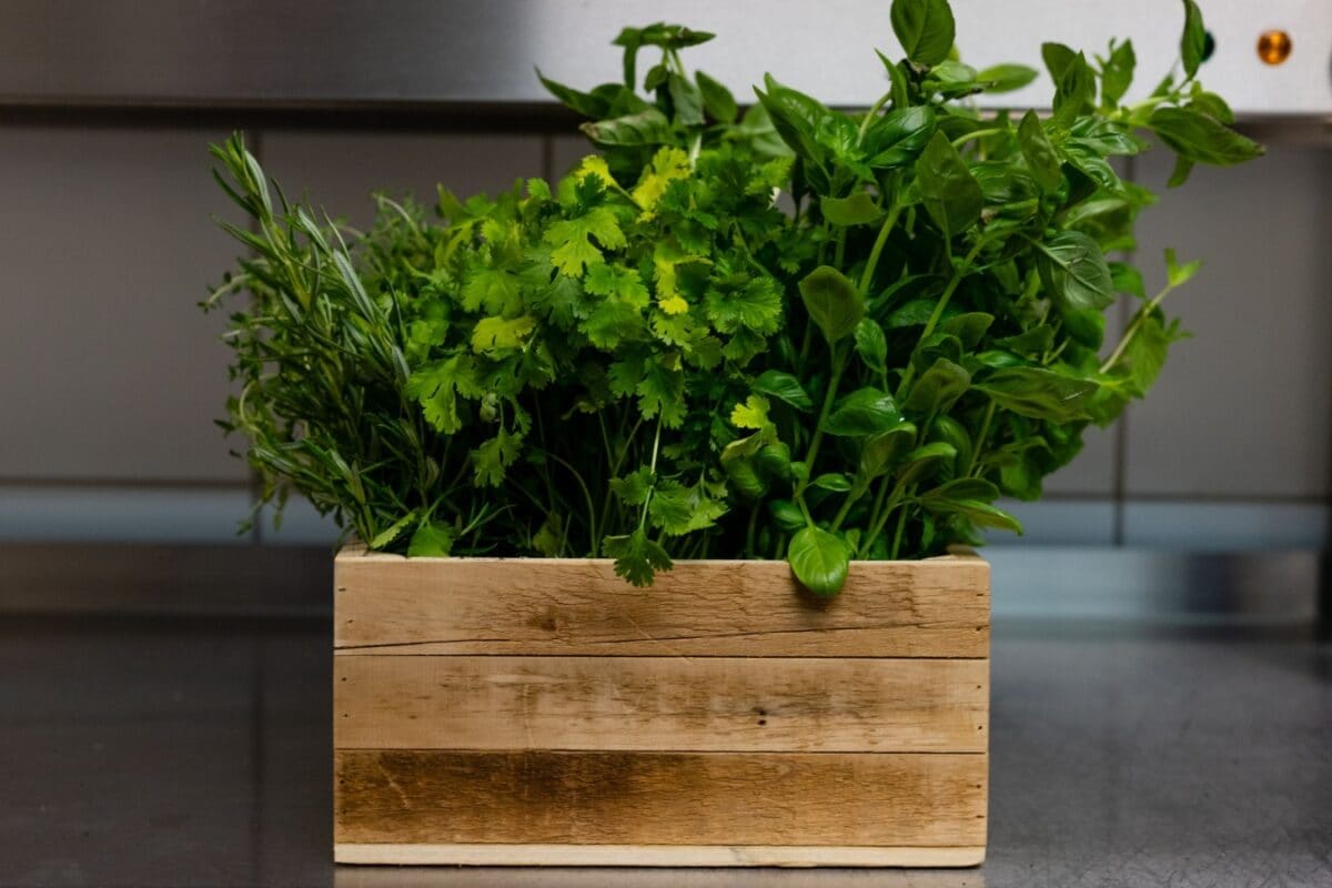 7 Easy Tips To Keep Your Herbs Fresh In The Kitchen For 10 Days Without A Fridge