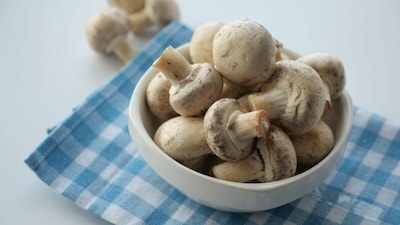 While mushroom farming has spread across India, Solan remains a vital milestone in the crop's history. Between its early role in structured cultivation and its continued contributions to research and outreach, the city stands out as one of the most prominent hubs in India's mushroom narrative.
