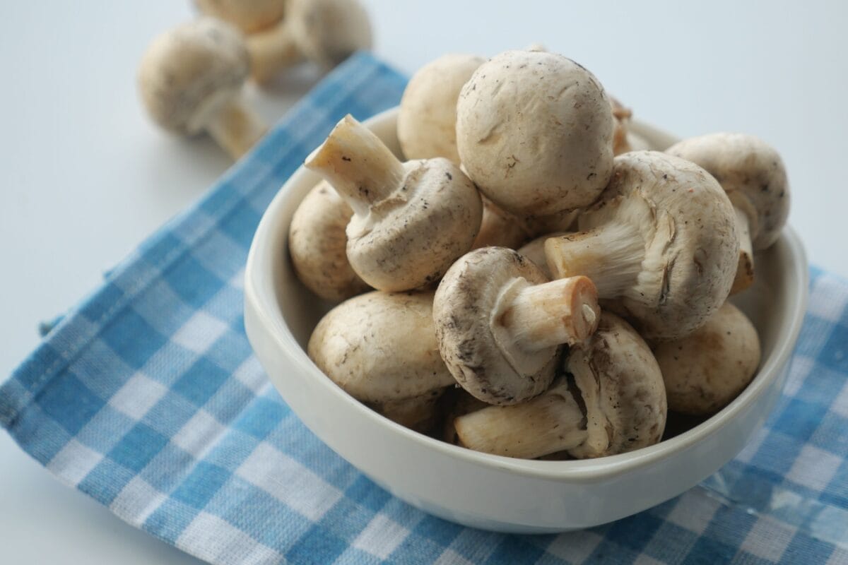 GK: Which Place Is Known As Mushroom Capital Of India?