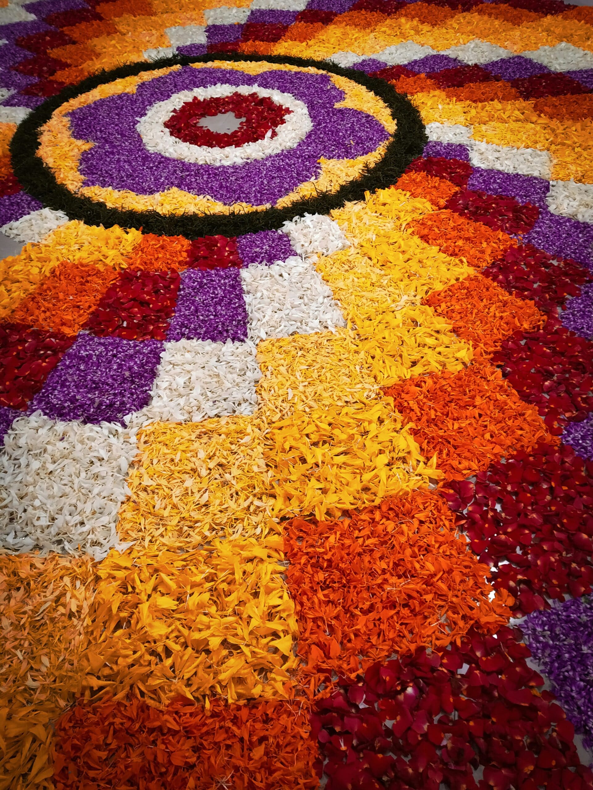 Onam 2026: From Marigold To Jasmine, 10 Flowers Used In Traditional Pookalam Onam 2026: From Marigold To Jasmine, 10 Flowers Used In Traditional Pookalam