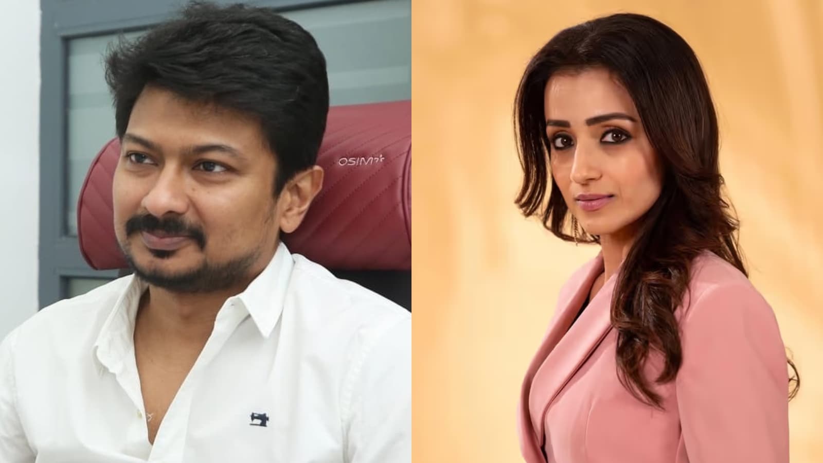 Trisha Krishnan's 'Be Unbothered' Post Goes Viral After Udhayanidhi Stalin's 'Vulgar' Comment | Fans React
