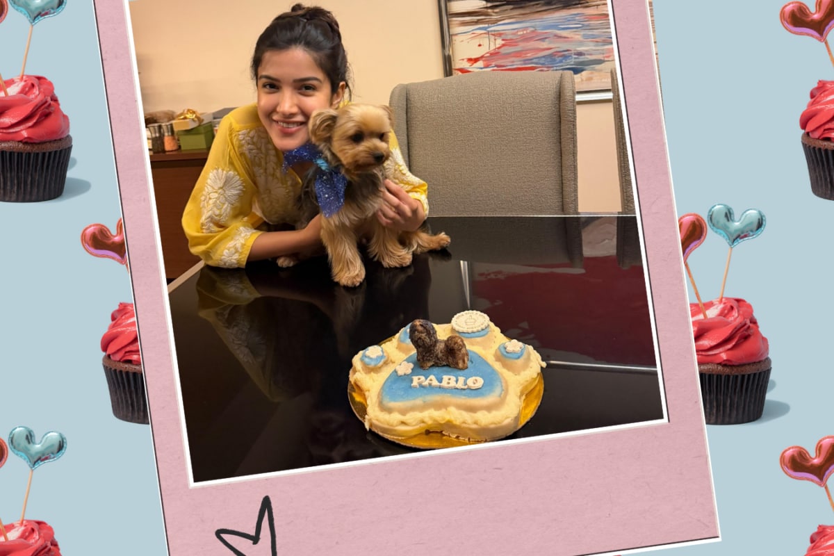 Shanaya Kapoor’s Doggo Got A Birthday Cake, Here’s Your Sign To Bake One For Your Fur Baby