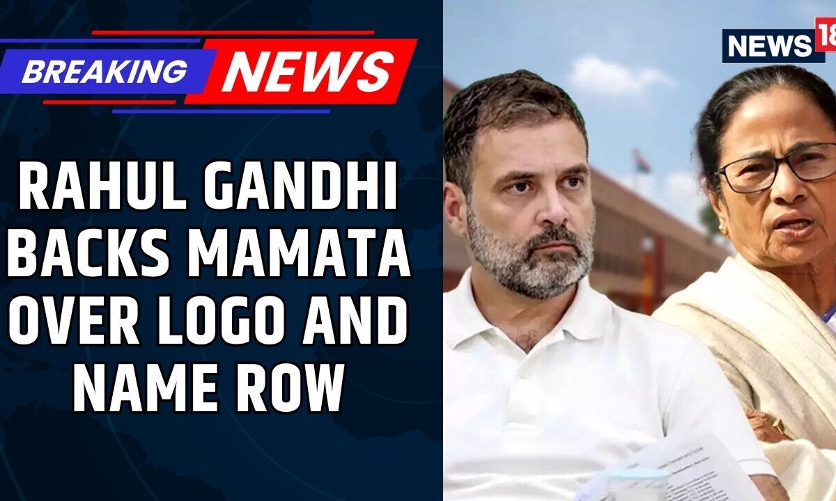 'We Are In This Together': Rahul Gandhi's Late-Night Call With Mamata After EC Freezes Name, Symbol