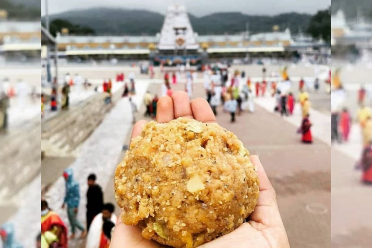 Tirupati Laddu Ghee Adulteration Under Scrutiny: Here's The 310-Year-Old Recipe Behind Its Famous Taste