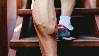 When the calf muscles contract, they compress nearby veins and help propel blood upwards. When the muscles relax, the veins refill.