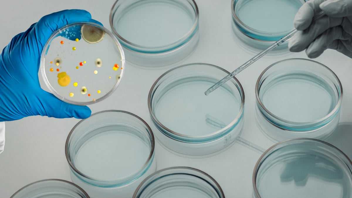 Could An Infection Trigger Cancer? 1 In 8 Global Cases Linked To Preventable Causes, Says Lancet | Health and Fitness News