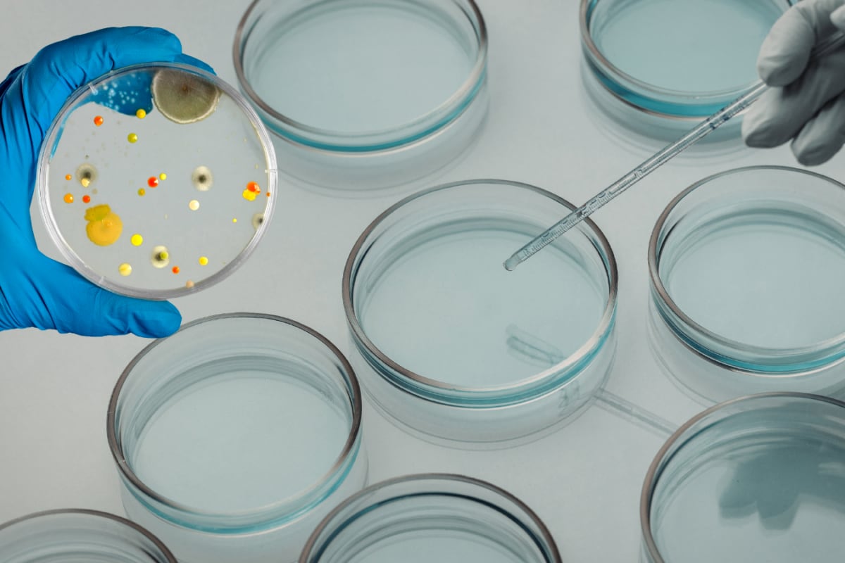 Could An Infection Trigger Cancer? 1 In 8 Global Cases Linked To Preventable Causes, Says Lancet