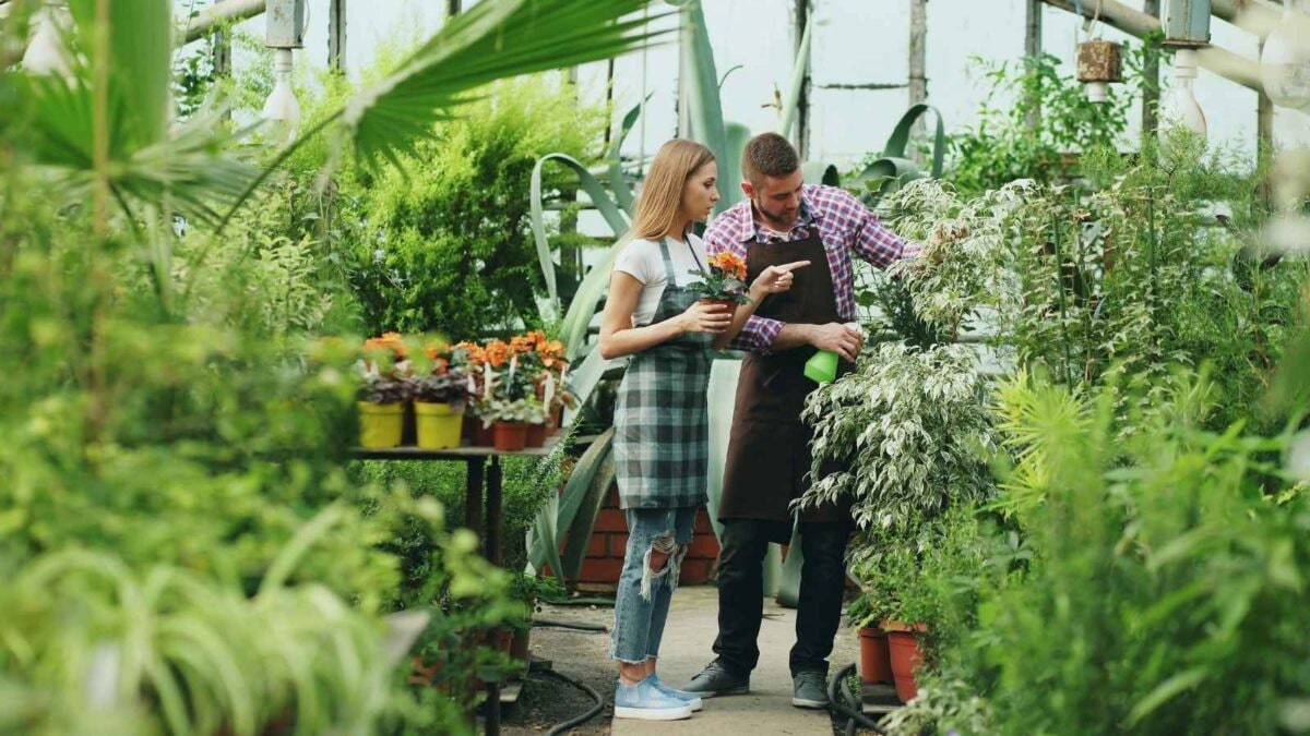 Vegetables to Grow in September: 8 Easy Tips for Your Home Kitchen Garden
