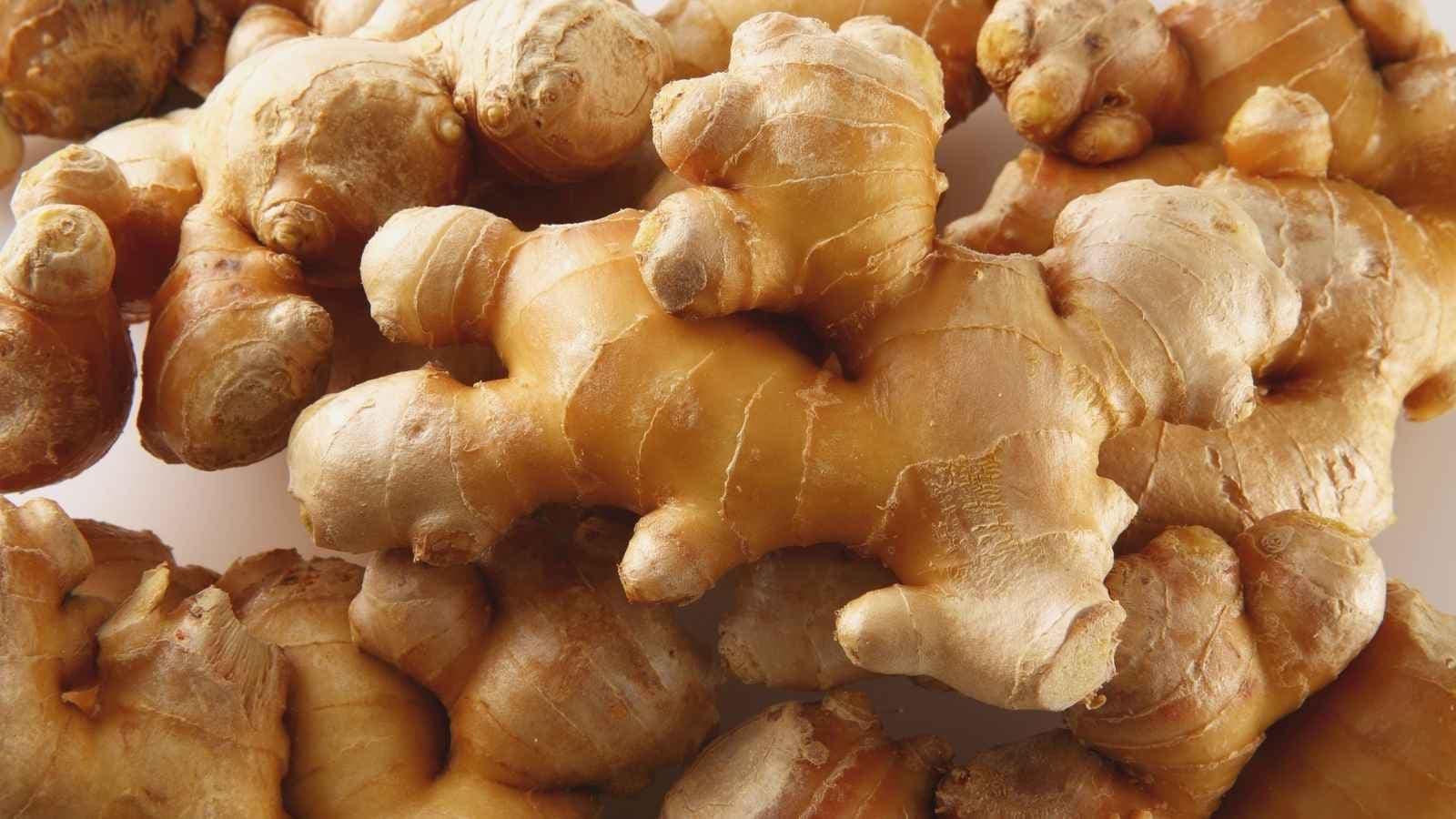 Almost every kitchen relies on ginger for flavor, but grandmothers have used it for generations to treat daily ailments. Packed with bioactive compounds, this versatile root adds depth to warm teas, soups, and dishes while delivering proven, natural health benefits.