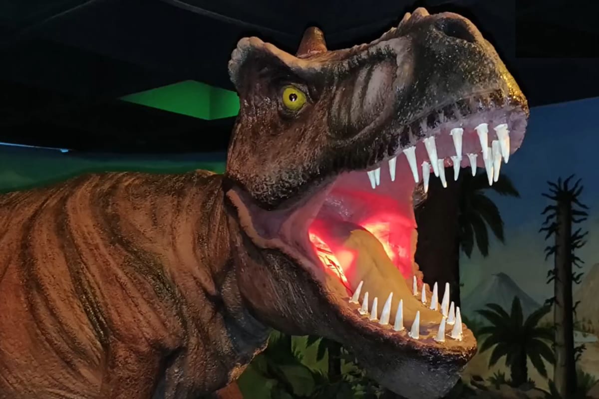 Delhi Gets Its First Jurassic Park Experience: Step Into A Dinosaur World At National Science Centre