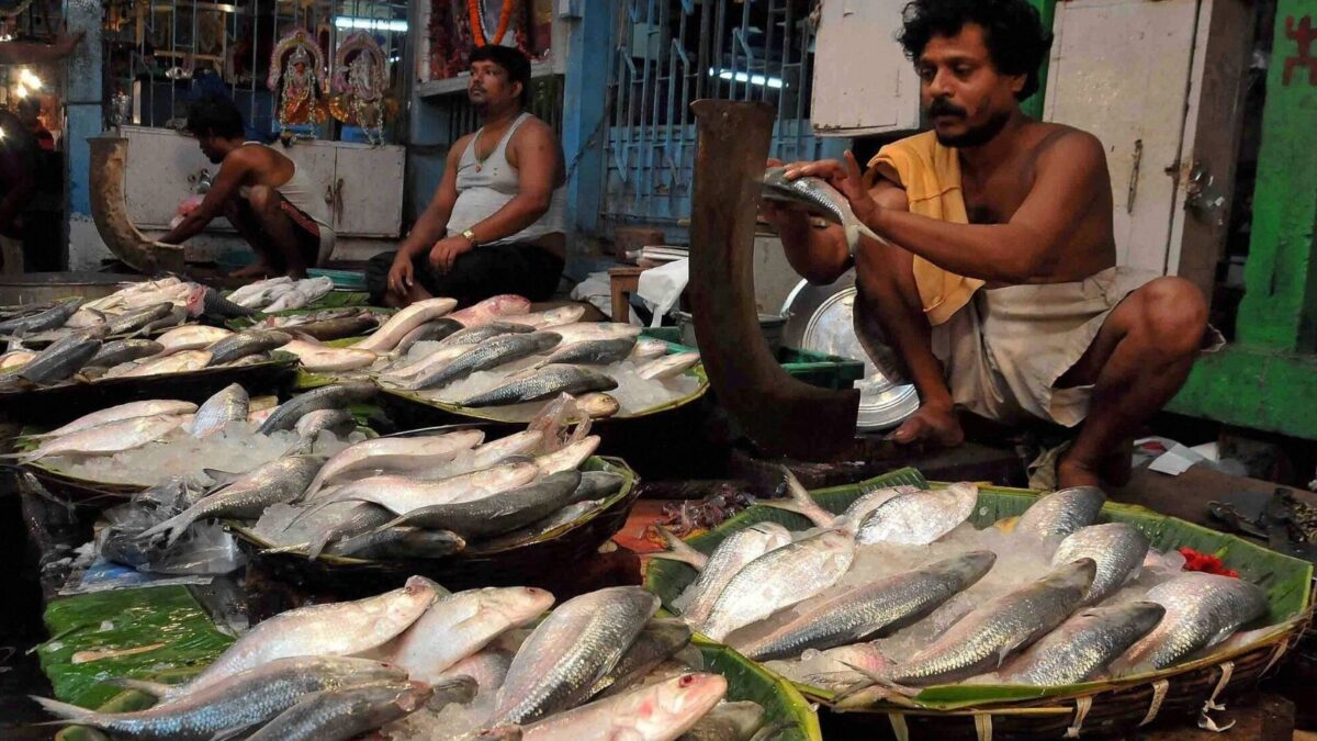 துர்கா பூஜைக்கு முன் இந்தியாவுக்கு இலிசா ஏற்றுமதியை வங்கதேசம் நிறுத்தியது