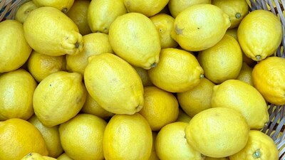 Hope Rest on Fresh Crop Harvests: Wholesalers express optimism that normalcy will return once the new crop harvest hits the mandis. An increased supply of fresh stock after the festive season should help stabilize prices back to regular, affordable levels. (Image: Canva)