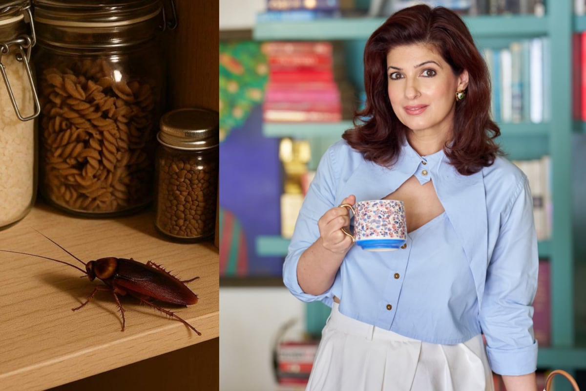 Twinkle Khanna's Kitchen Jugaad: 5 Genius Hacks To Keep Your Pantry Pest-Proof