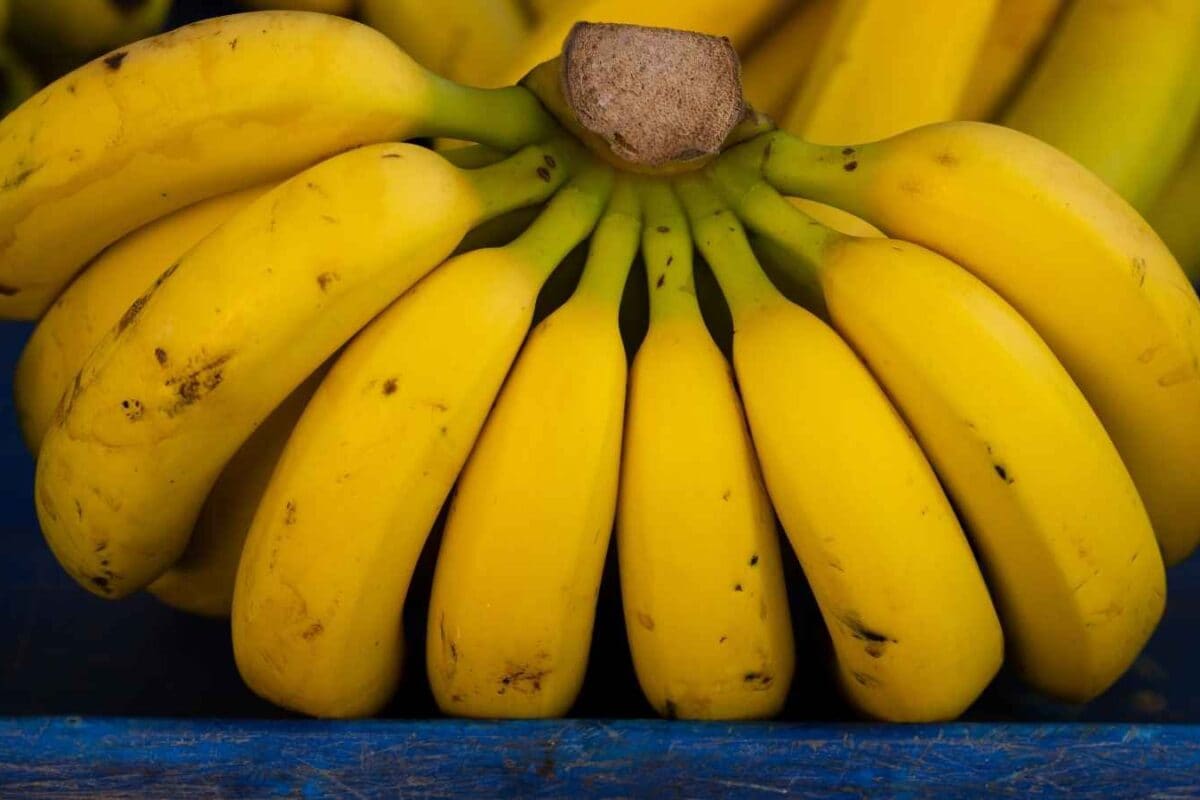 Morning, Pre-Workout Or Night: What Is The Right Time To Eat A Banana?