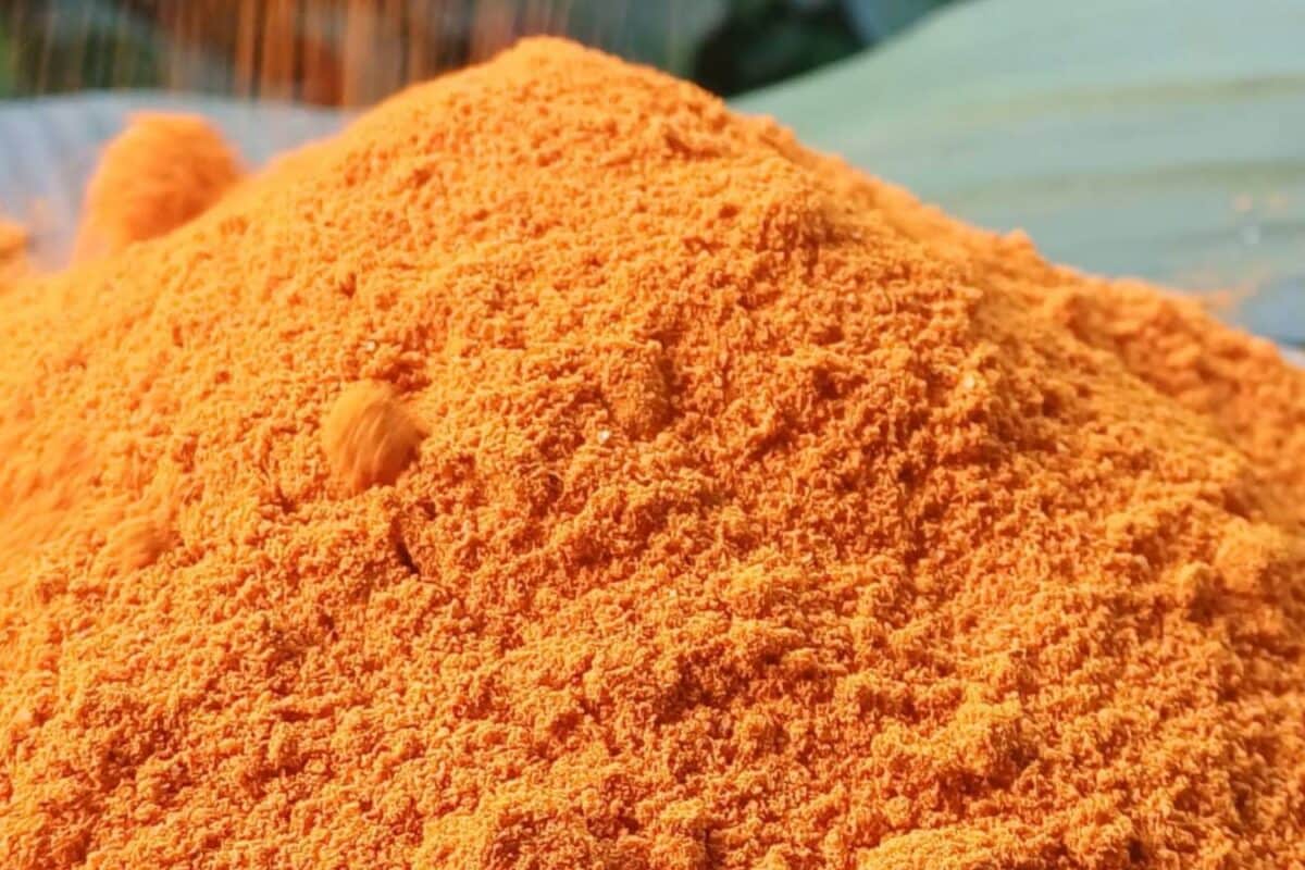Lakadong Turmeric: The Golden Spice From Meghalaya Known For Its High Curcumin Content