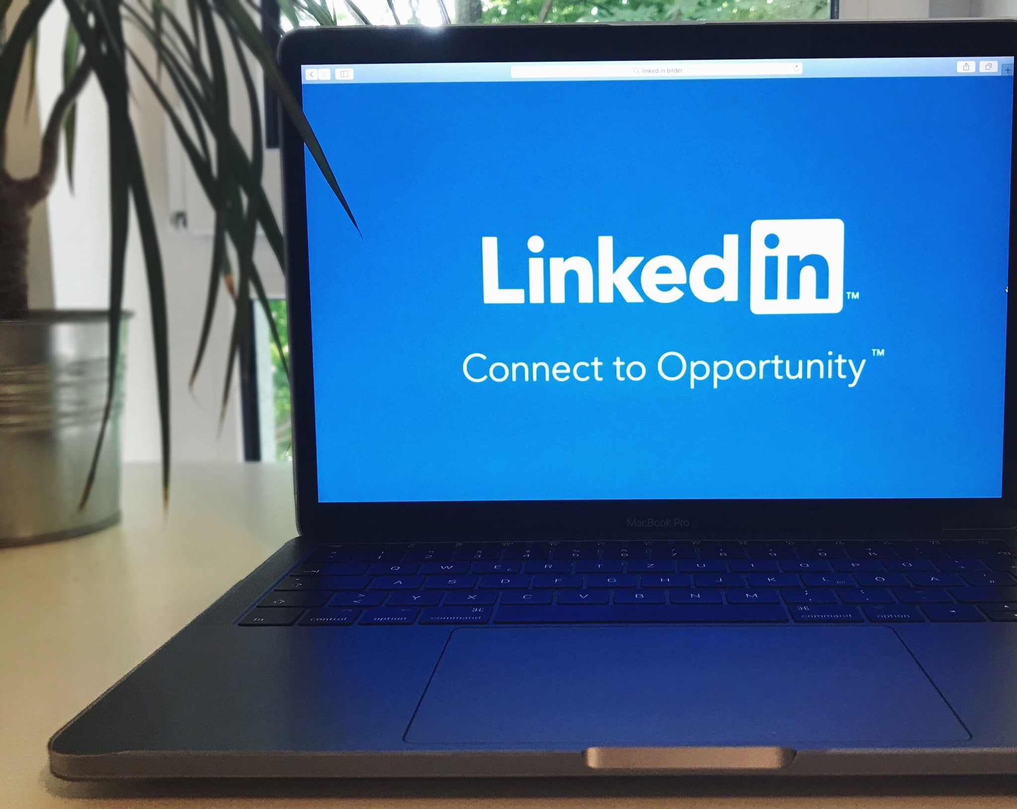 Begin with small interactions: A like, comment or question can be a simple way to start engaging with someone. (Image: Pexels)