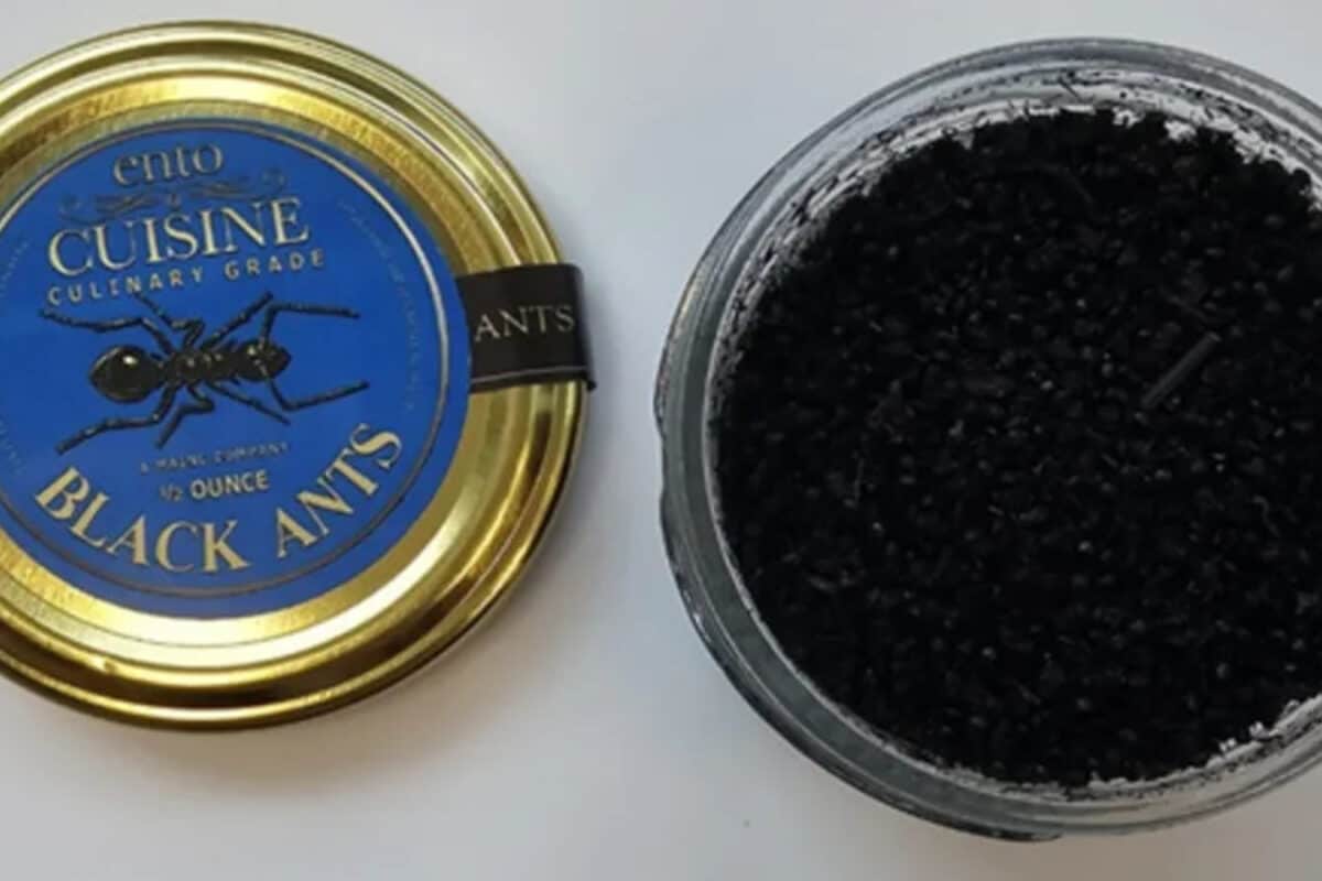Putting The 'Ant' In Restaur'ant', Gangnam Style: Michelin-Starred Seoul Eatery Fined Over 'Creepy' Dessert