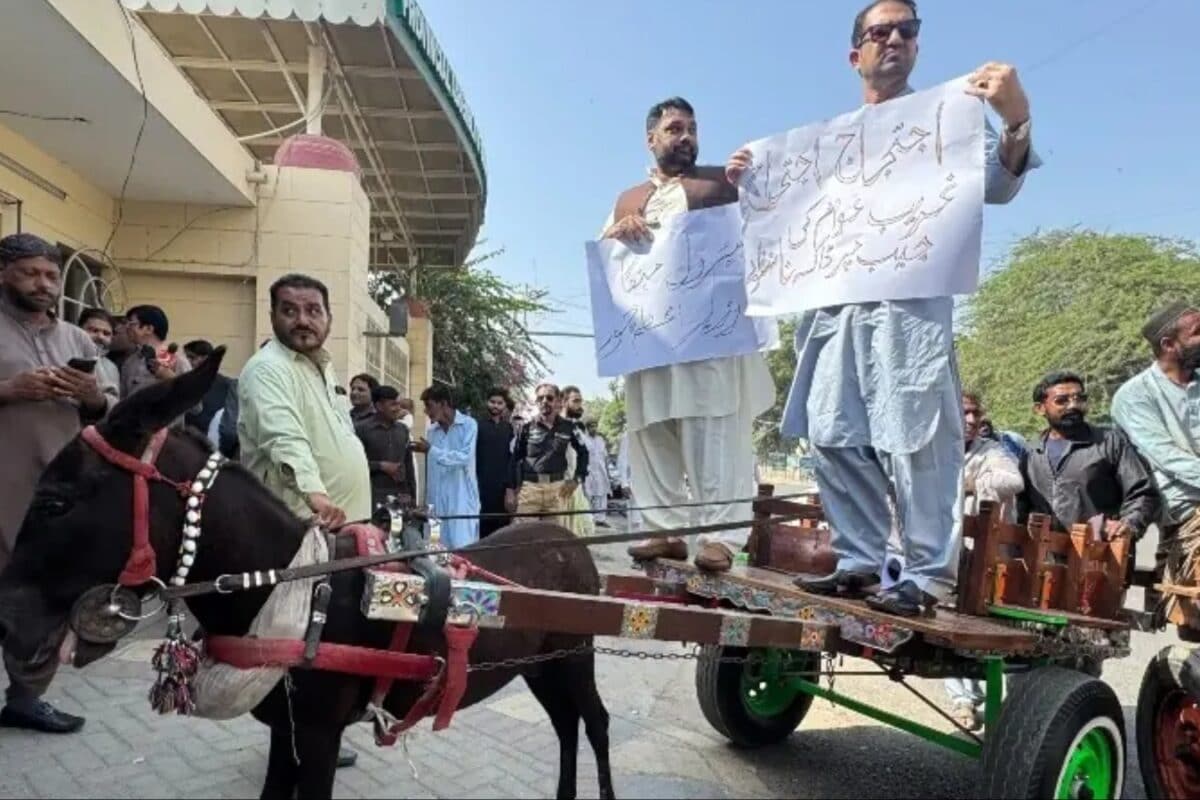 Petrol Too Expensive In Pakistan? PTI Lawmakers Ride Donkey Carts To Sindh Assembly In Protest