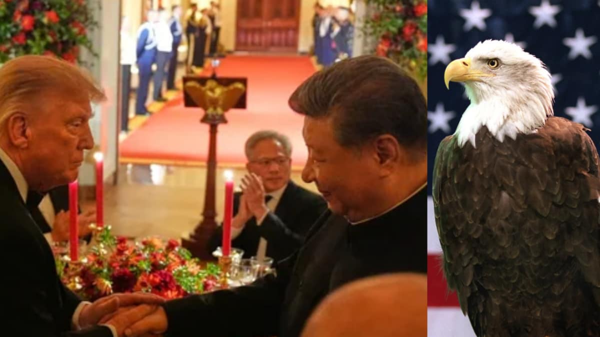 Photo: news18.com Why Trump gave Xi an ornate bald eagle statue at the state dinner