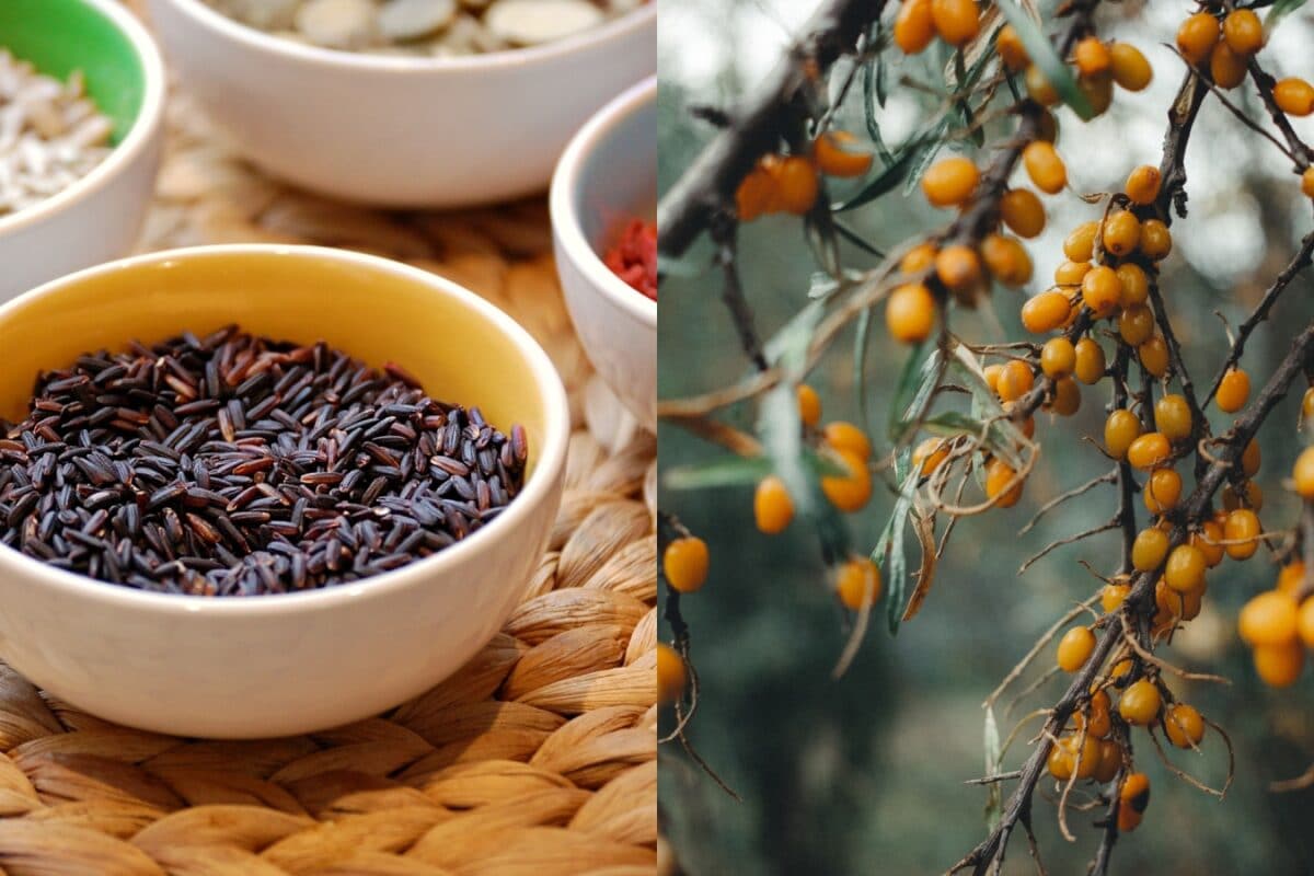 Sea Buckthorn To Makhana: PM Narendra Modi Recommended Superfoods