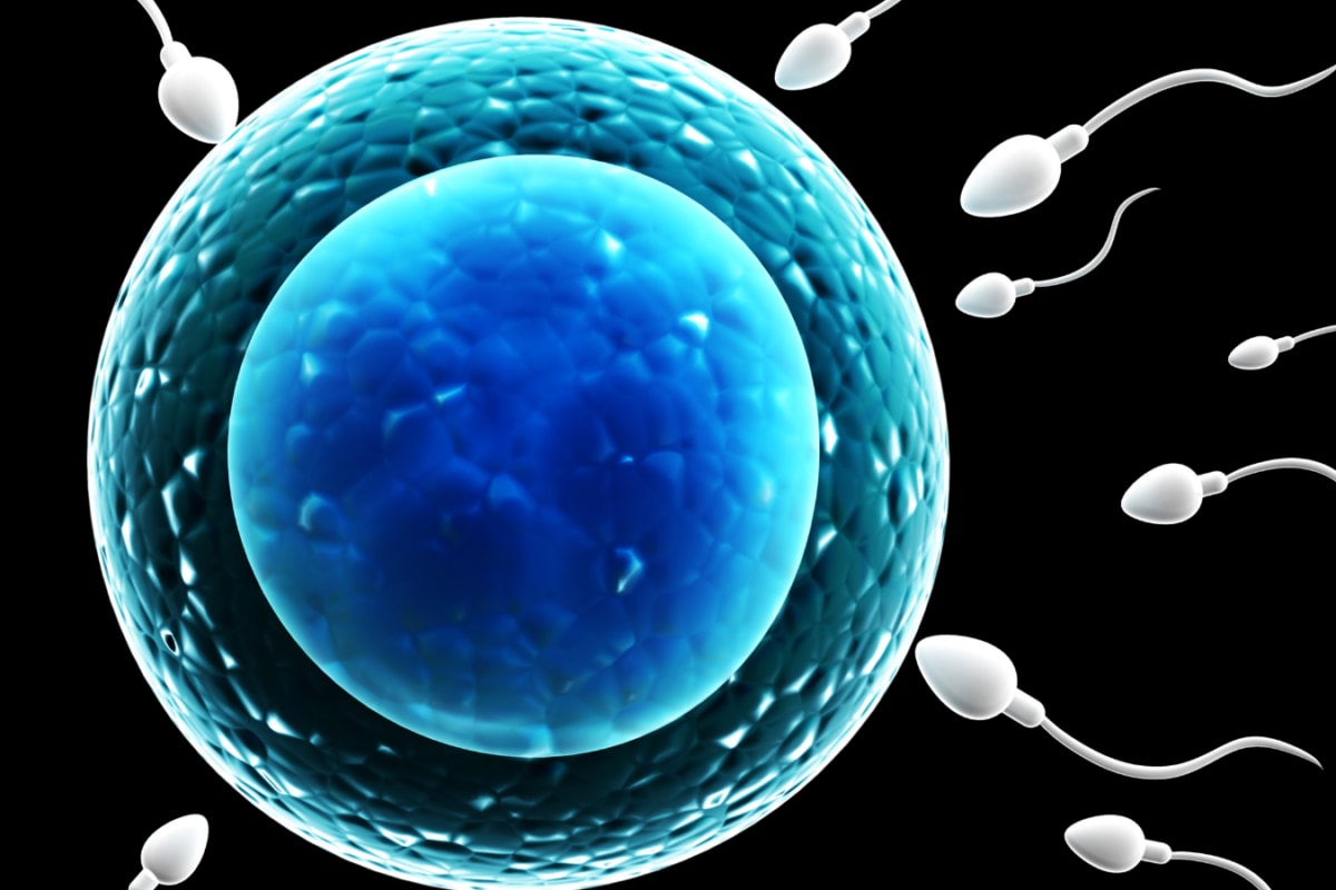What Men Should Know About Heat And Sperm Health