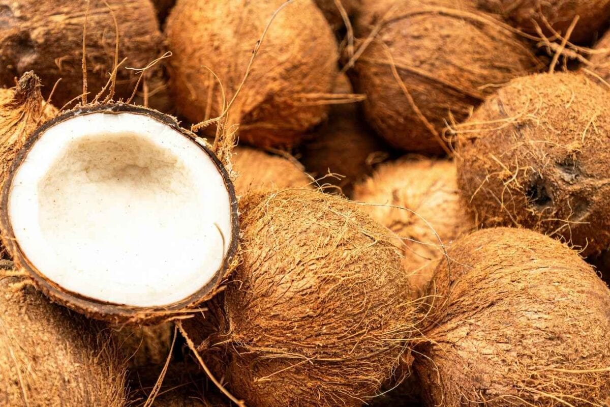Why Is Coconut Broken During Hindu Puja? The Ancient Belief Behind This Ritual