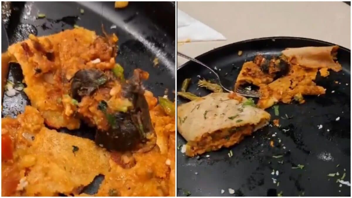 மும்பை உணவகத்தில் தோசையில் எலி: உரிமம் நிறுத்தம்