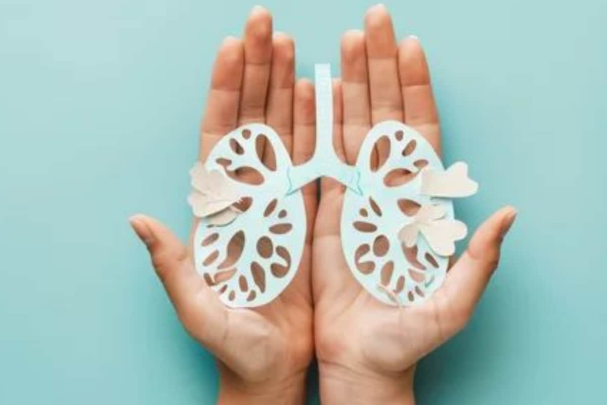 World Lung Day: 7 Surprising Sources Of Indoor Air Pollution Inside Your Home