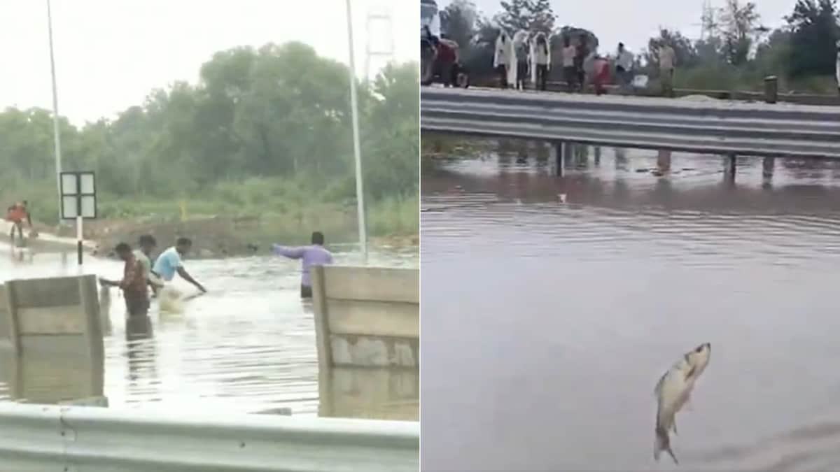 உத்தரப் பிரதேசத்தில் கனமழை: 56 பேர் பலி; கங்கை விரைவுச்சாலையில் வெள்ளம்