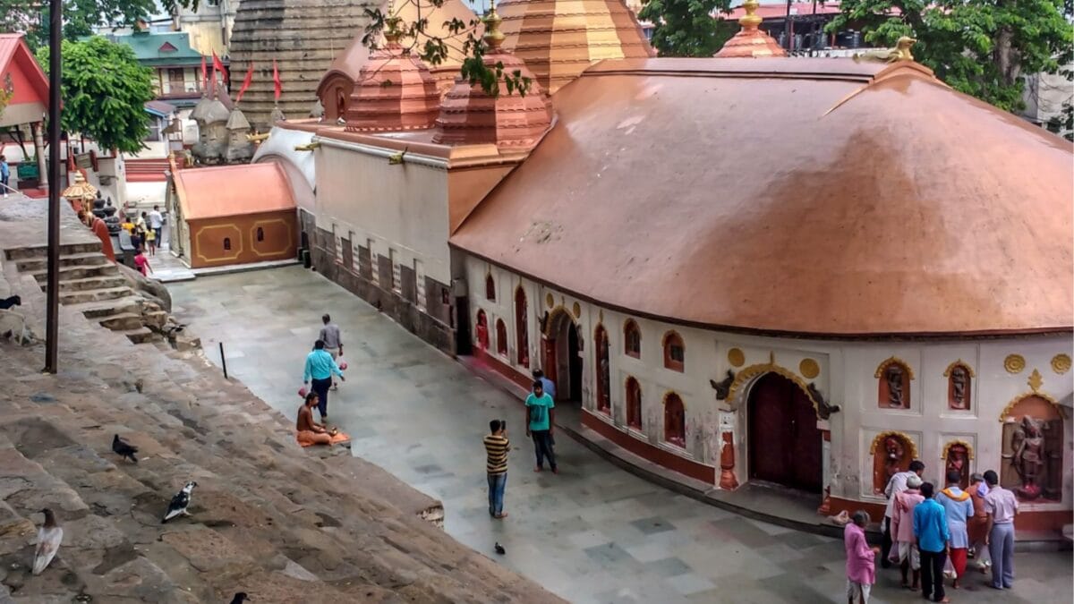 Fish, Meat & Alcohol As Prasad? Inside India’s Hindu Temples With Unusual Offerings