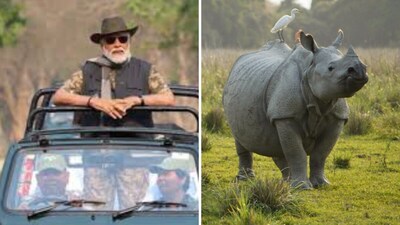 PM Modi wrote about 'Project Rhino' on X. (File/X)