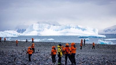 Antarctica Calling: When To Visit, Where To Stay And How Much It Costs