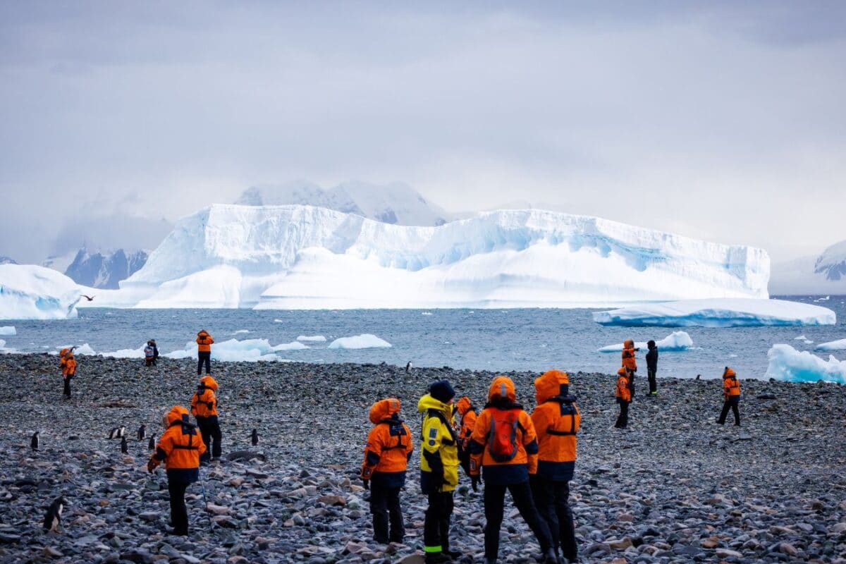Antarctica Calling: When To Visit, Where To Stay And How Much It Costs