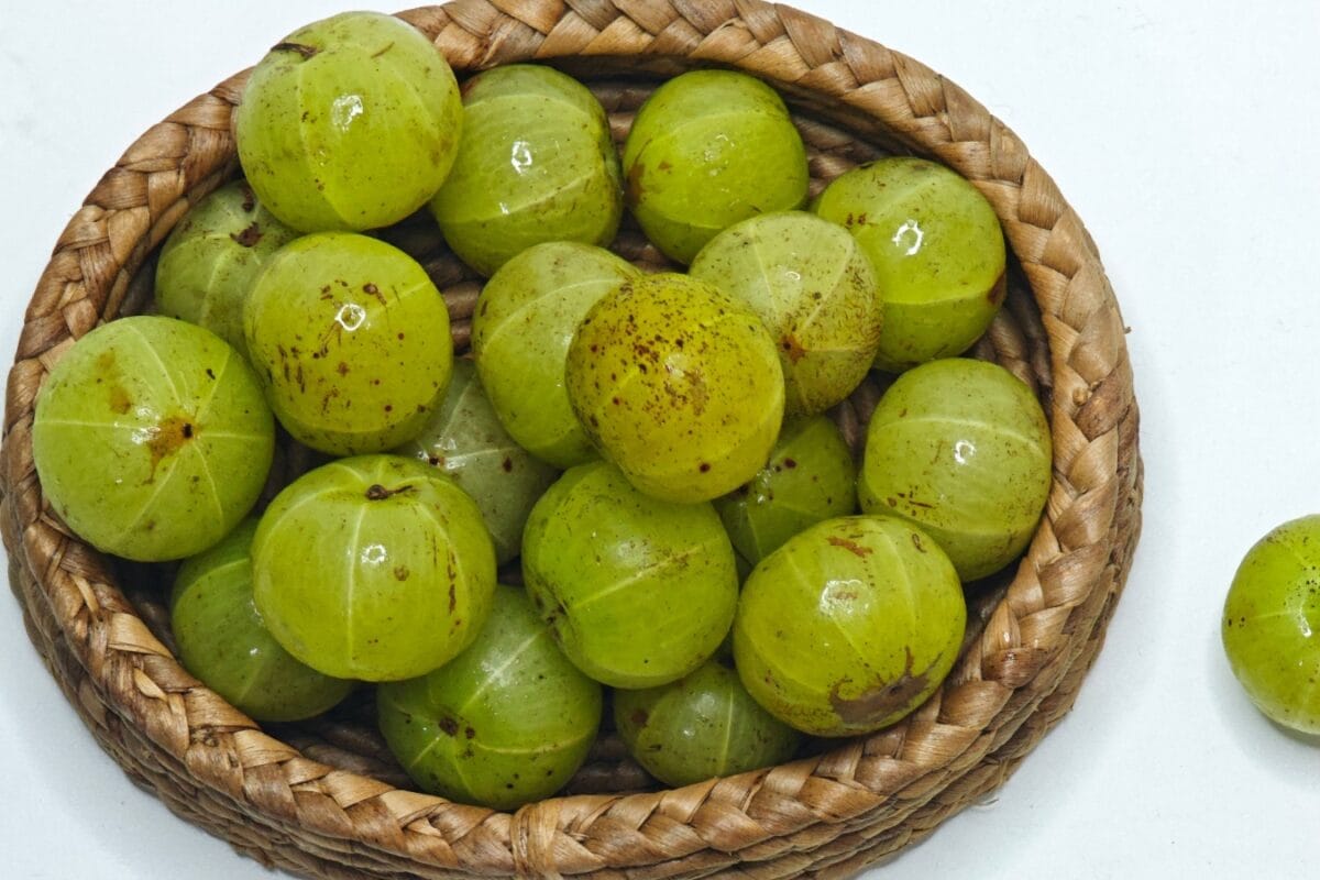 PM Narendra Modi Promotes Health Benefits Of Amla In Mann Ki Baat, Calls It 'Mazedar Bhi, Healthy Bhi'