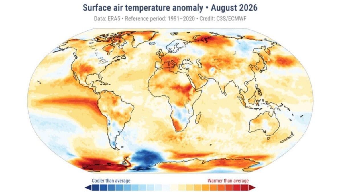The Earth Just Saw Its Warmest August Ever, Ocean Temperatures Hit All-Time High