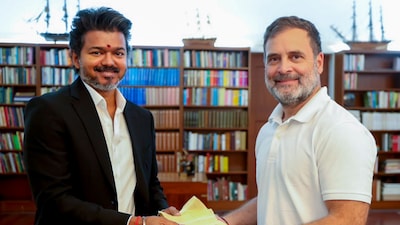 File image of Tamil Nadu Chief Minister C Joseph Vijay and Congress leader Rahul Gandhi. (Source: PTI)