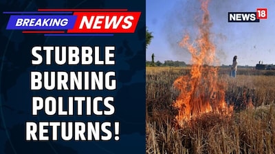 Punjab Stubble Burning Sparks Fresh Outrage As Sirsa Slams Government Over Pollution Crisis
